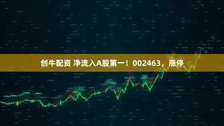 创牛配资 净流入A股第一！002463，涨停