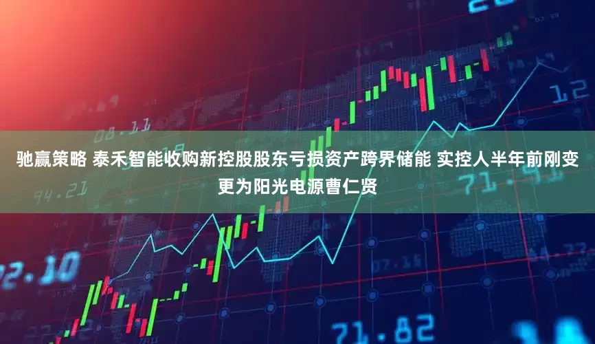 驰赢策略 泰禾智能收购新控股股东亏损资产跨界储能 实控人半年前刚变更为阳光电源曹仁贤
