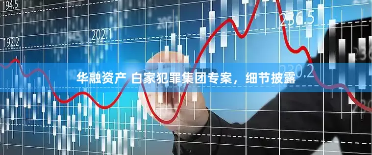 华融资产 白家犯罪集团专案，细节披露