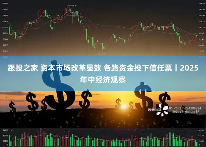 跟投之家 资本市场改革显效 各路资金投下信任票丨2025年中经济观察