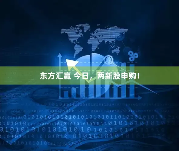 东方汇赢 今日，两新股申购！