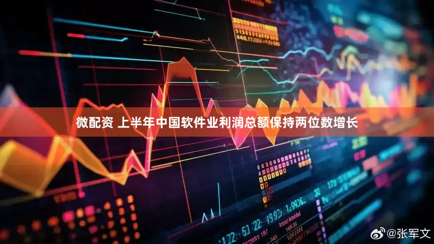 微配资 上半年中国软件业利润总额保持两位数增长